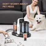 Portable Carpet & Upholstery Spot Cleaner, Powerful Suction & Spot Remover, Deep Stain Cleaning for Carpet, Car Seats, Pets, Stairs, Couches, with Dual Size BrushHead
