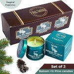 Balsam Fir Pine - Soy Candles for Home Scented - Pack of 3 x 5oz Natural Clean Non Toxic - for Fall Winter Christmas Holidays - Long Lasting Highly Scented Pet Safe - Velas Aromáticas para el Hogar