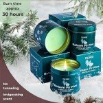 Balsam Fir Pine - Soy Candles for Home Scented - Pack of 3 x 5oz Natural Clean Non Toxic - for Fall Winter Christmas Holidays - Long Lasting Highly Scented Pet Safe - Velas Aromáticas para el Hogar