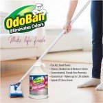 OdoBan Pet Solutions No Rinse Neutral pH Floor Cleaner Concentrate, 2 Gallons, Splash O' Citrus Scent