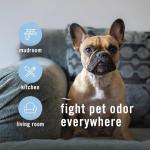 Febreze Air Mist Air Freshener Spray, Odor-Fighting Room Spray, Air Fresheners for Home and Bathroom and Kitchen, Aerosol Can, HD Pet Odor Fighter Scent, 8.8oz, 3 Count