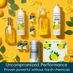 Grove Co. Glass Cleaner, Refill Concentrate (6 x 1 Fl Oz) Streak Free, Plant-Based Household Cleaning Supplies, No Plastic Waste, 100% Natural Lemon & Eucalyptus Fragrance, 3 x 2 Pack Refills