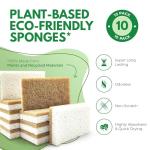 10 Pack Biodegradable Natural Kitchen Sponge - Compostable Cellulose and Coconut Walnut Scrubber Sponge - Eco Friendly Sponges for Dishes