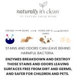 naturally it's clean Laundry Stain Remover, Spray and Odor Eliminator | Enzyme Powered and Fabric Safe | Removes Coffee, Grease, Makeup, Ink, Wine, and all Odors | 2 Pack