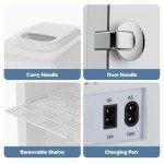 DUMOS Retro Mini Fridge - Cooler & Warmer