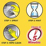 Easy Off Oven Cleaner 14.5Oz Aerosol Can (Pack of 3)