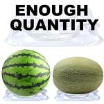 50 Pieces Plastic Melon Cradle Holds up to 20 lbs Plastic Melon Support Stand Keep Melon Watermelon Off of The Ground Plant Protector Cages for Watermelon Pumpkin and Squash