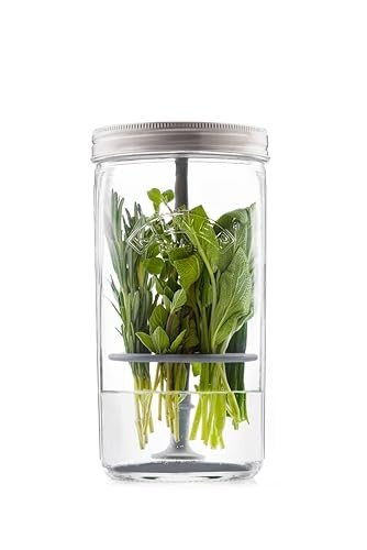 Kilner herb keeper set with glass jar and silicone lifter