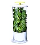 NOVART XXL Herb Keeper and Herb Saver – Glass Storage Container for Cilantro, Mint, Parsley, Asparagus, Keeps Greens Fresh for 2-3 Weeks