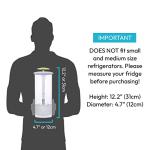 NOVART XXL Herb Keeper and Herb Saver – Glass Storage Container for Cilantro, Mint, Parsley, Asparagus, Keeps Greens Fresh for 2-3 Weeks