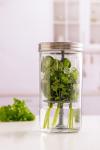 Kilner Herb Keeper Set | Keep Herbs Fresh for Up to 3 Weeks | 1L Wide Mouth Jar with Stainless Steel Lid & Silicone Lifter | Easy-to-Use for Home-Grown or Store-Bought Herbs | Recipe Booklet Included