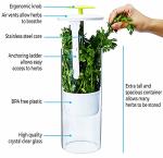 NOVART XXL Herb Keeper and Herb Saver – Glass Storage Container for Cilantro, Mint, Parsley, Asparagus, Keeps Greens Fresh for 2-3 Weeks