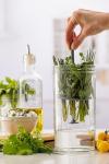 Kilner Herb Keeper Set | Keep Herbs Fresh for Up to 3 Weeks | 1L Wide Mouth Jar with Stainless Steel Lid & Silicone Lifter | Easy-to-Use for Home-Grown or Store-Bought Herbs | Recipe Booklet Included