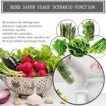 Herb Saver for Refrigerator, Fresh Herbs Lettuce Keeper for Refrigerator, Cilantro Container for Fridge Parsley Mint Leaves Fresh Herb Keeper, Refrigerato Storage for Fresh for 2-3 Weeks (2PCS)
