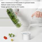 UEOZ Herb Keeper for Refrigerator, Herb Saver for Refrigerator, Cilantro Container, Vegetable Preservation Bottle for Cilantro, Mint, Parsley, Asparagus, Keeps Greens Fresh for 2-3 Weeks (3PCS)