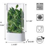 vacane Herb Keeper for Refrigerator, Fresh Herb Saver Herb Storage Containers, Cilantro Container for Fridge Asparagus Container, Dishwasher Safe