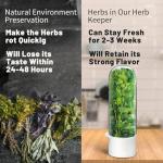 UEOZ Herb Keeper for Refrigerator, Herb Saver for Refrigerator, Cilantro Container, Vegetable Preservation Bottle for Cilantro, Mint, Parsley, Asparagus, Keeps Greens Fresh for 2-3 Weeks (3PCS)