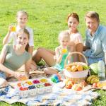 shopwithgreen Divided Serving Tray with Lid, Portable Snack Box Charcuterie Veggie Tray with Lid, Food Storage Organizer with 8 Colandersfor Fruit, Vegetable, Refrigerator, Kitchen, Party, Picnic