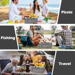 Insulated Cooler Bag Multipocket Collapsible Picnic Basket Leak-Proof Outdoor Basket for Camping Meal Delivery Shopping Travel Camping Beach Grocery Bag (Gray Medium)