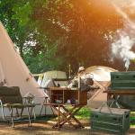 PATIKIL Collapsible Storage Bins with Lids and Handle, 1 Pcs 30L 8Gal Plastic Camping Storage Box Stackable Side Opening Organizer Basket for Car Rv Office Home, White