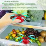 ShuRex Produce Freshness Preserver Saver Kit- Keep Fruits and Vegetables Fresh Longer, Ethylene Gas and Odor Absorber in Refrigerator (2 Saver Balls+8 Refill Sachets)