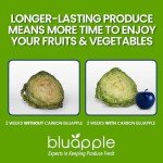Bluapple Produce Saver Ethylene Gas Absorber 1 Year Refill Kit with Activated Carbon - 8 Packets (9 Grams Classic + 4 Grams of Carbon Each) - Keeps Fruits & Vegetables Fresher Longer, Produce Storage