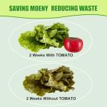 ShuRex Produce Freshness Preserver Saver Kit- Keep Fruits and Vegetables Fresh Longer, Ethylene Gas and Odor Absorber in Refrigerator (2 Saver Balls+8 Refill Sachets)