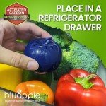 Bluapple Produce Saver Ethylene Gas Absorber 1 Year Refill Kit with Activated Carbon - 8 Packets (9 Grams Classic + 4 Grams of Carbon Each) - Keeps Fruits & Vegetables Fresher Longer, Produce Storage