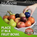 Bluapple Produce Saver Ethylene Gas Absorber 1 Year Refill Kit with Activated Carbon - 8 Packets (9 Grams Classic + 4 Grams of Carbon Each) - Keeps Fruits & Vegetables Fresher Longer, Produce Storage