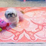 BelugaDesign Butterfly Rug | Cute Kawaii Flower Geometric Art Aesthetic Animal Pink Pastel Bedroom Bathroom Mat | Machine Washable Rectangle Area Carpet for Women (Peach, 47x28)