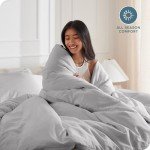 Bare Home Bedding Duvet Cover Queen Size - Premium 1800 Super Soft Collection - Lightweight, Cooling - Soft Breathable Bedding Duvet Cover (Queen, Light Grey)