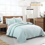 HORIMOTE HOME Quilt Queen Size Aqua Blue, Lightweight Quilt for Summer Ultra-Soft Microfiber Modern Style Quilted Clouds Pattern Bedspread Quit Set 3 Pieces(1 Quilt and 2 Pillow Shams)