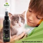 Aromasong Eucalyptus & Wild Mint Linen and Room Spray, Natural Aromatic Mist, Relax Your Body & Mind, Perfect as a Bathroom Spray Air Freshener Pillow Mist