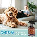 SpaRoom Cool Peppermint Linen Spray 2-Pack – Dual Bottle Essential Oil Mist for Bedding, Fabrics, and Rooms, Minty Refreshment for Sleep and Relaxation – 2 x 16.9 oz