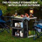 TOEEBR Collapsible Storage Bins with Lids, Portable Foldable Box with 2 Side Doors, Organizing Stackable Storage Cases Large Heavy Duty Utility Crates for Camp Fishing Car RV Office (Large-30L)
