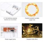Ariceleo Led Fairy Lights Battery Operated, 1 Pack Mini Battery Powered Copper Wire Starry Fairy Lights for Bedroom, Christmas, Parties, Wedding, Centerpiece, Decoration (5m/16ft Warm White)