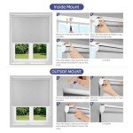 RED GRAPES Roller Shades for Indoor Windows,100% Blackout,UV Protection Fabric,Thermal Insulated,Corded Window Shades Pull Down Roll Shade for Home Bedroom Easy to Install(23" W x 72" H, Grey)