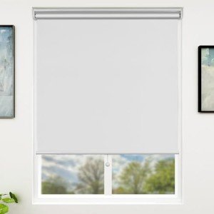 Sunfree Blackout Roller Shades Window Shades Cordless Blackout Window Blinds with Thermal Insulated for Bedroom,Office,46" W x 72" H,White