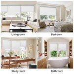 Sunfree Blackout Roller Shades Window Shades Cordless Blackout Window Blinds with Thermal Insulated for Bedroom,Office,46" W x 72" H,White