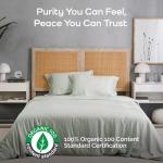 Bamtek 100% Viscose from Bamboo Sheets King Size, Super Soft Bedding Set, 4PC Cooling Sheets for Hot Sleepers, Vegan Silk Moisture Wicking, Organically Grown Bedsheet, Sage - 76" x 80"