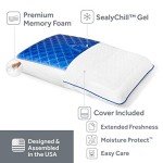 Sealy SealyChill Gel Memory Foam Pillow, Standard (Pack of 1)