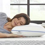 Sealy SealyChill Gel Memory Foam Pillow, Standard (Pack of 1)