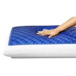 Sealy SealyChill Gel Memory Foam Pillow, Standard (Pack of 1)