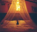 Bed Canopy with Double Circle White Feather Dream Catcher and 50 LED Fairy String Lights, Mosquito Net - Unique Style Dome Bed Netting Canopy Curtains Canopy - Suggested for Twin Full Queen King Bed
