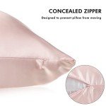 2 Pack Satin Pillowcase with Latent Zipper, Adjustable Satin Eye Mask for Sleeping and Satin Volume Scrunchie for Hair and Skin, Standard Size (Light Pink,Classic Style)