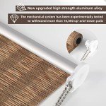 RED GRAPES Roller Window Shades,Light Filtering Roller Shade,Window Blinds,Roll Up and Down Blinds for Home,Easy to Install(Coffee, 23" W x 72" H)