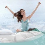 Rainmr Shredded Memory Foam Full Body Pillow – Side Sleeper – Huggable Long Pillow for Body Relief – with Ultra Soft Cooling Cover, 20 x 54 inches