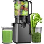 Juicer Machines with 5.8" Large Feed Chute, Cold Press Juicer For Whole Vegetables and Fruits, 400W Professional Slow Masticating juicer Easy to Clean for Batch Juicing (Titanium Gray)