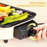 Electric Indoor Grill 1500W, YOHAWJAN 2 in 1 Smokeless Indoor Grills with Non-stick Removable Grill & Griddle Plate, Temperature Control, Portable Korean BBQ Grill with 3 Raclette Cheese Pans
