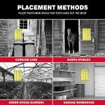 Catchmaster Giant Fly Glue Trap 1-Pack 30 Feet Each, Adhesive Fly Traps Outdoor, Sticky Bug Catcher, Bulk Flying Insect Paper Roll, Pet Safe Pest Control for Garage, Barn, Greenhouse & Garbage Room